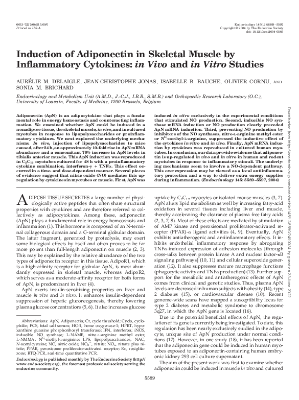 (PDF) Induction of Adiponectin in Skeletal Muscle by Inflammatory ...