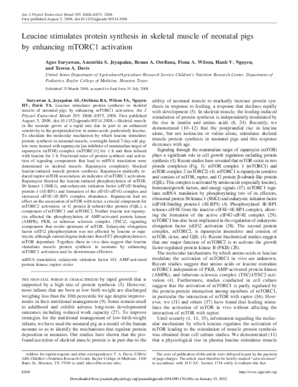 (PDF) Leucine stimulates protein synthesis in skeletal muscle of ...