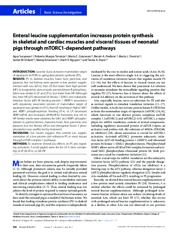 (PDF) Enteral leucine supplementation increases protein synthesis in ...
