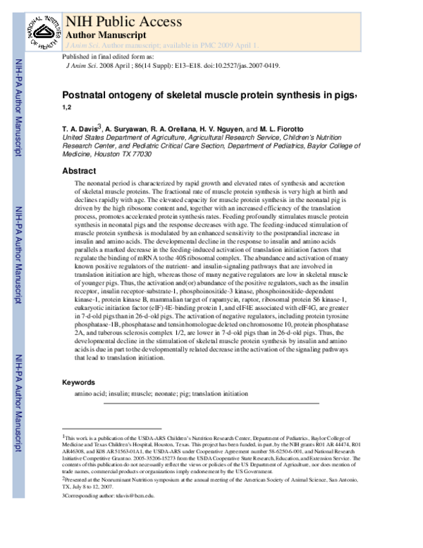 (PDF) Postnatal ontogeny of skeletal muscle protein synthesis in pigs1,2