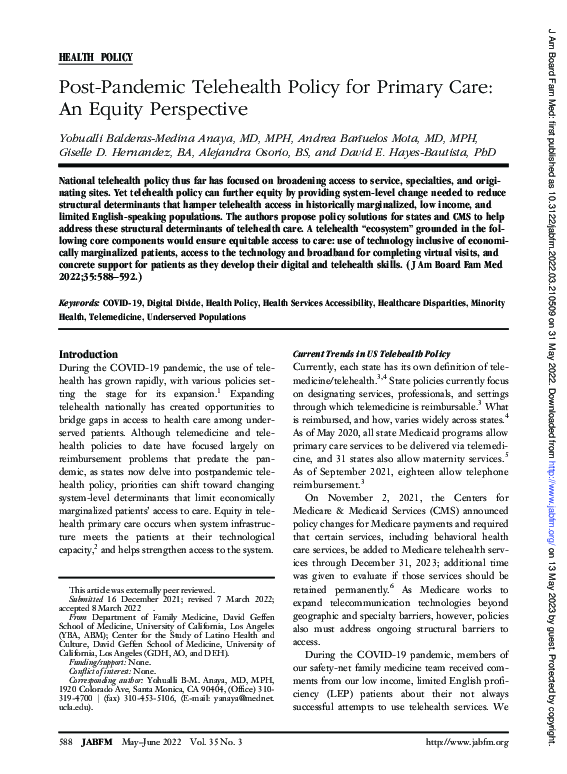 (PDF) Post-Pandemic Telehealth Policy for Primary Care: An Equity ...