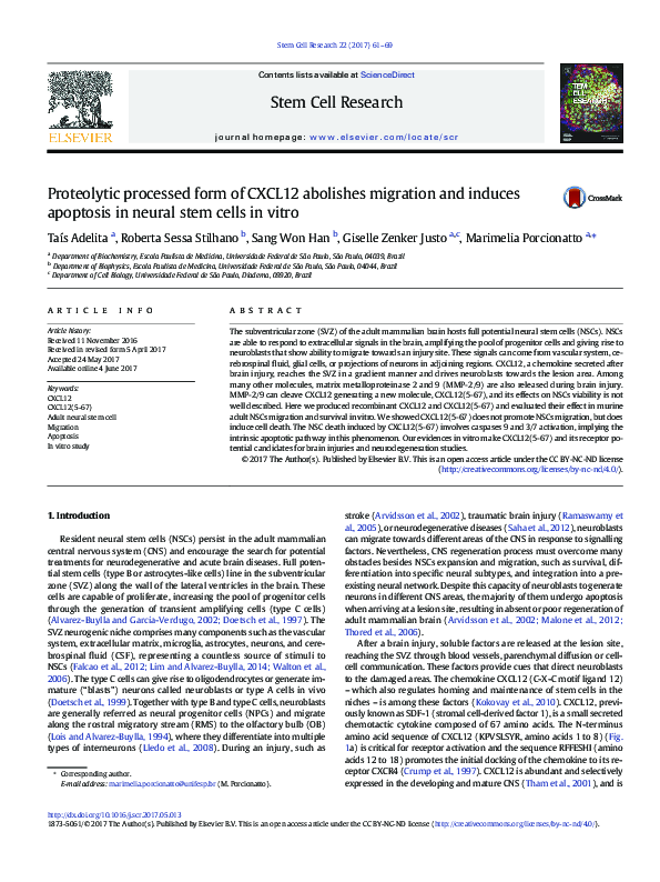 (PDF) Proteolytic processed form of CXCL12 abolishes migration and ...
