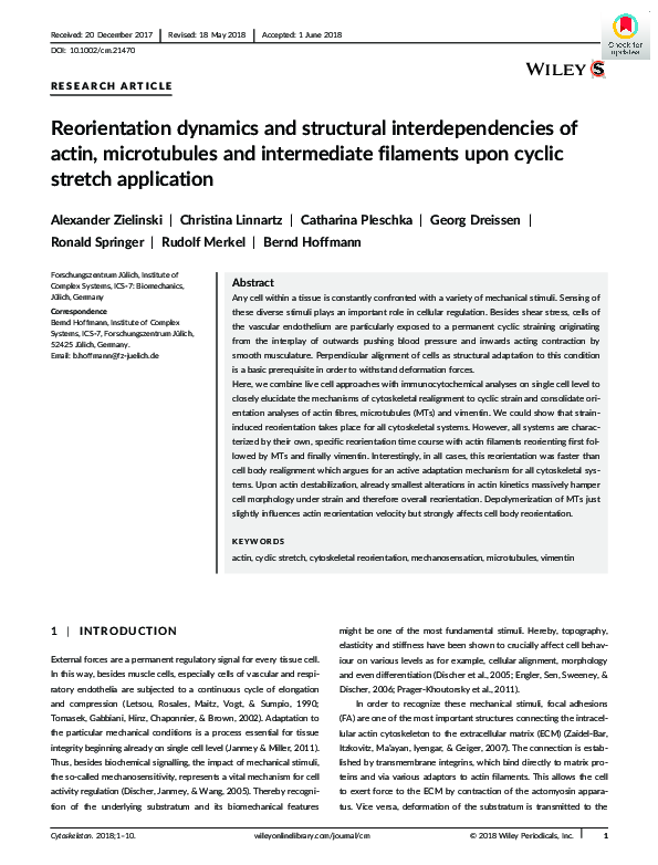 (PDF) Reorientation dynamics and structural interdependencies of actin ...