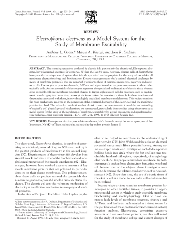 (PDF) Electrophorus electricus as a Model System for the Study of ...