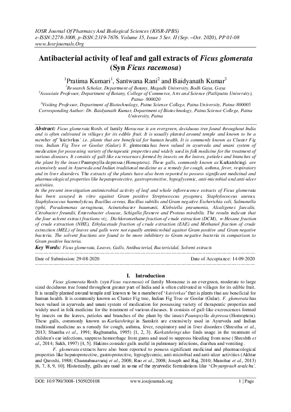 (PDF) Antibacterial activity of leaf and gall extracts of Ficus ...