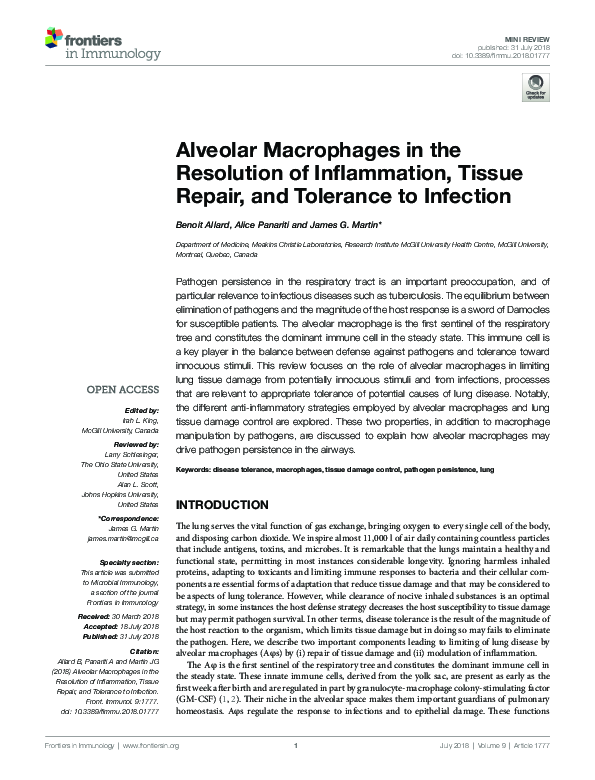 (PDF) Alveolar Macrophages in the Resolution of Inflammation, Tissue ...