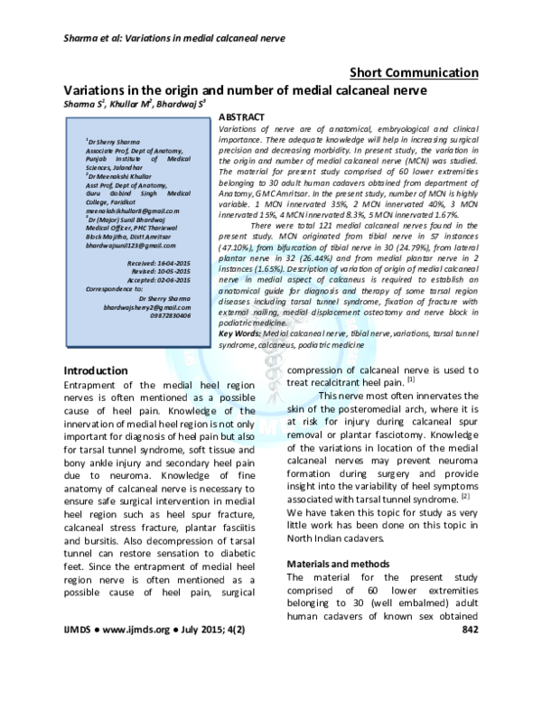 (PDF) Variations in the Origin and Number of Medial Calcaneal Nerve