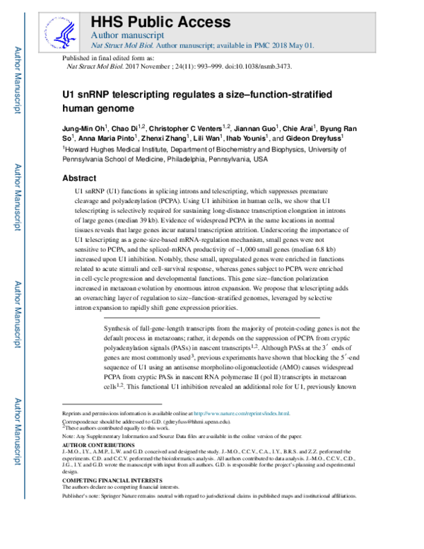 (PDF) U1 snRNP telescripting regulates a size-function-stratified human ...