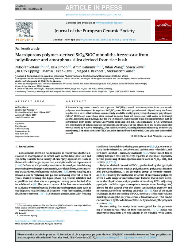 (PDF) Macroporous polymer-derived SiO2/SiOC monoliths freeze-cast from ...