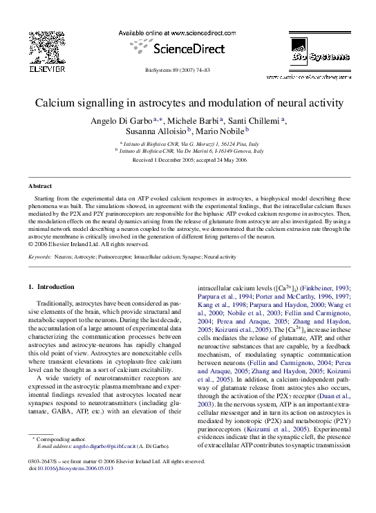 (PDF) Calcium signalling in astrocytes and modulation of neural activity