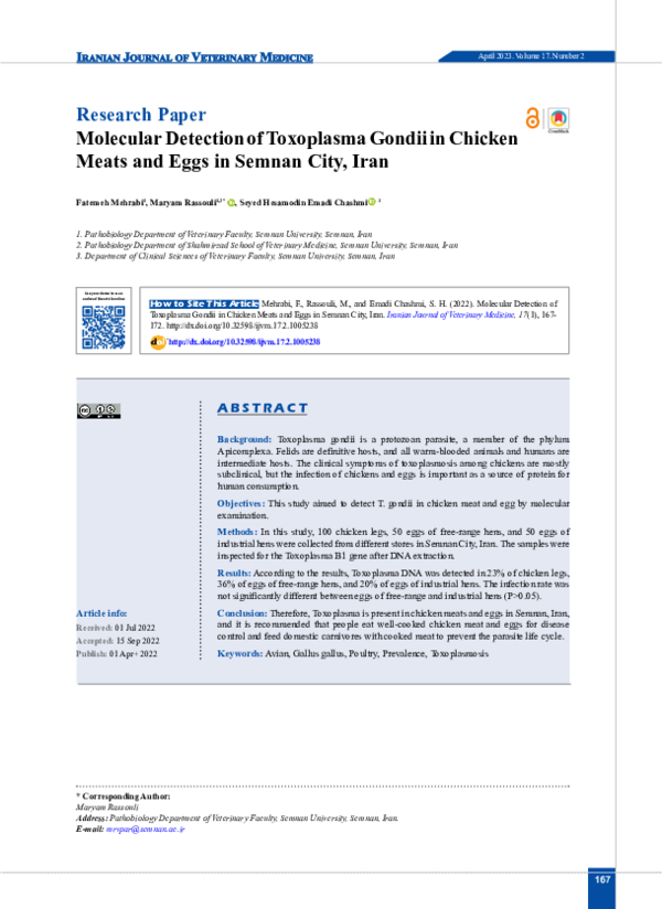 (PDF) Molecular Detection of Toxoplasma gondii in Chicken Meats and ...