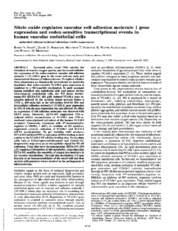 (PDF) Nitric oxide regulates vascular cell adhesion molecule 1 gene ...