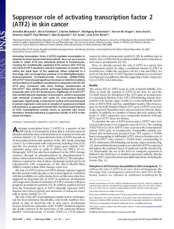 (PDF) Suppressor role of activating transcription factor 2 (ATF2) in ...