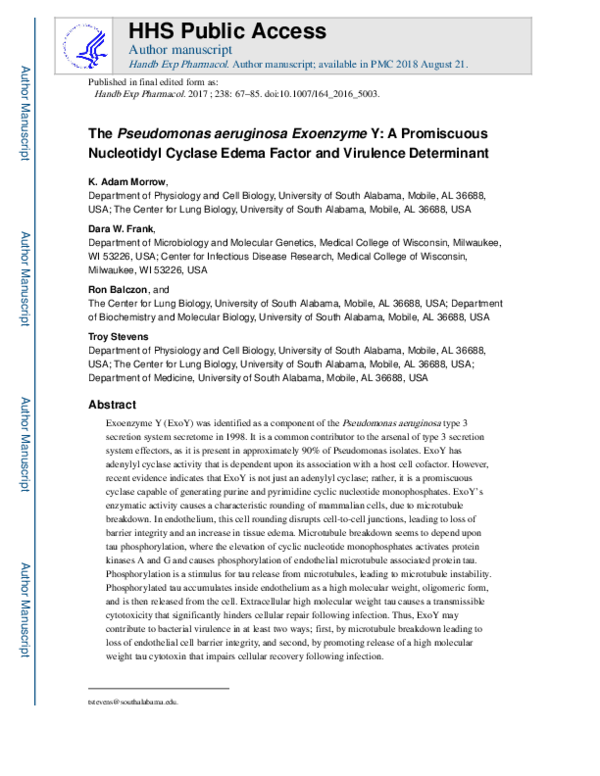 (PDF) The Pseudomonas aeruginosa Exoenzyme Y: A Promiscuous Nucleotidyl ...