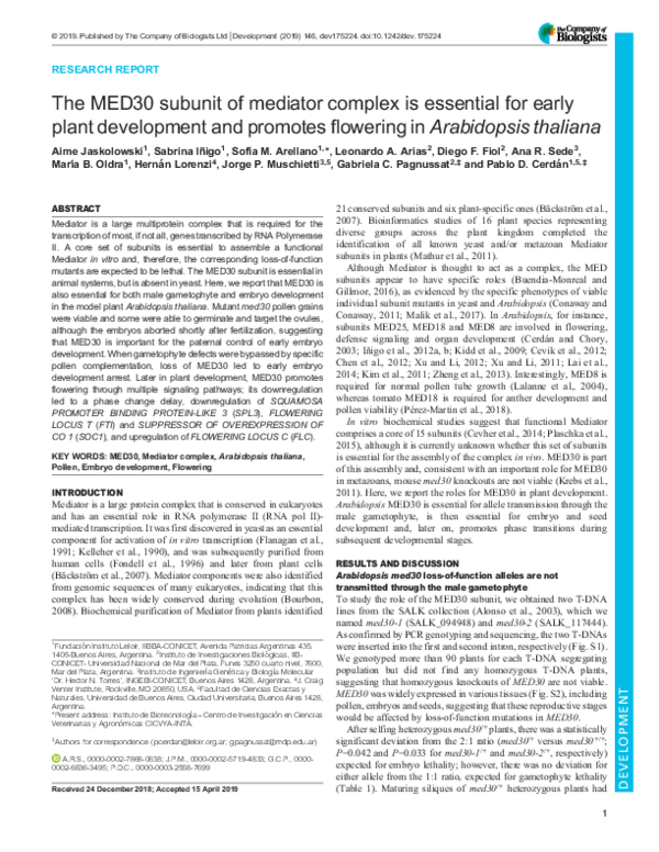 (PDF) The MED30 subunit of mediator complex is essential for early ...