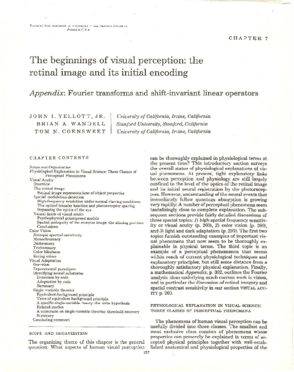(PDF) The Beginnings of Visual Perception: The Retinal Image and its ...