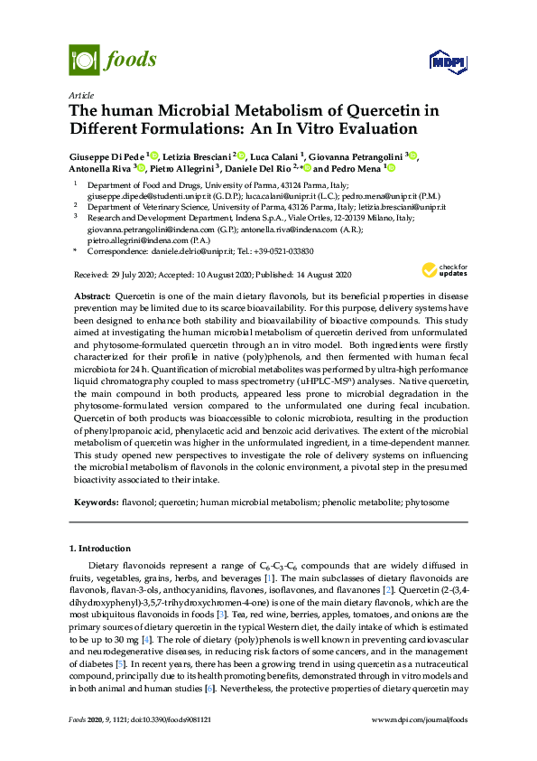 (PDF) The Human Microbial Metabolism of Quercetin in Different ...