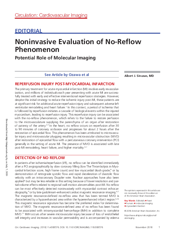 (PDF) Noninvasive Evaluation of No-Reflow Phenomenon