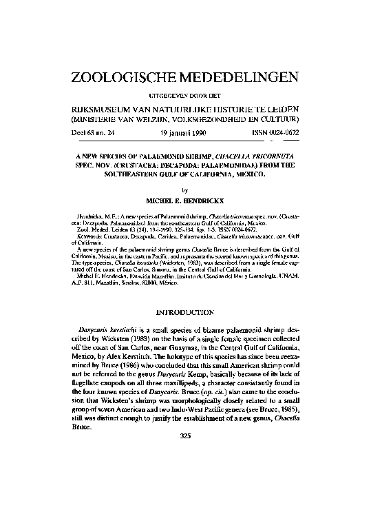 (PDF) A new species of palaemonid shrimp, Chacella tricornuta spec. nov ...