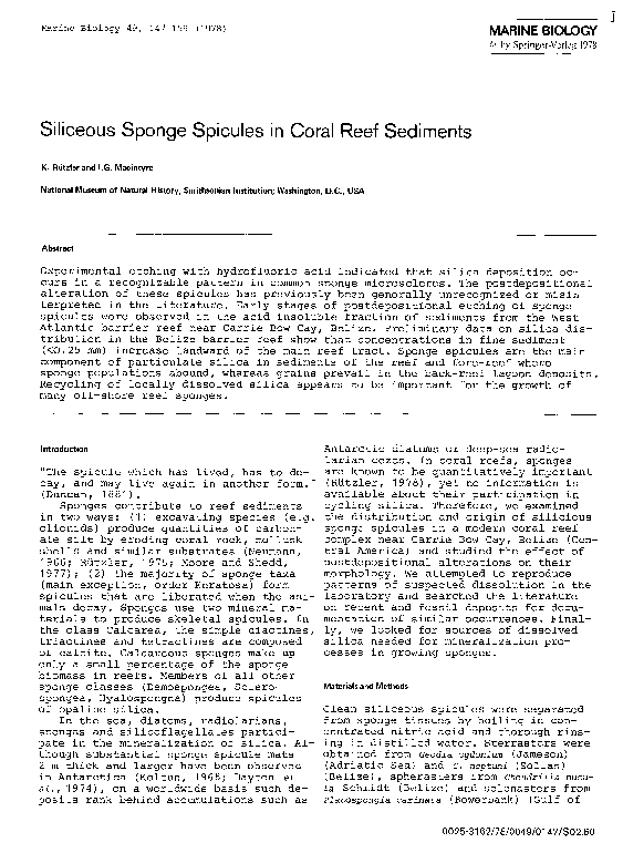 (PDF) Siliceous sponge spicules in coral reef sediments