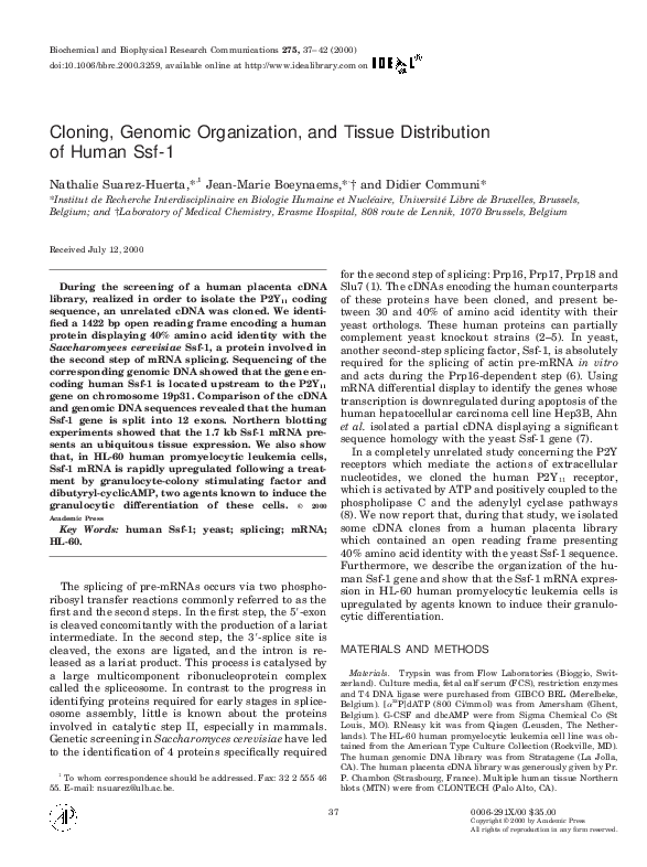 (PDF) Cloning, Genomic Organization, and Tissue Distribution of Human Ssf-1