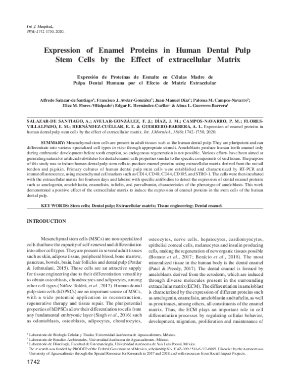 (PDF) Expression of Enamel Proteins in Human Dental Pulp Stem Cells by ...