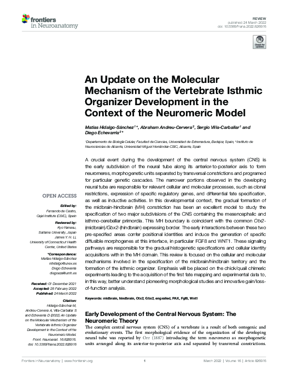 (PDF) An Update on the Molecular Mechanism of the Vertebrate Isthmic ...