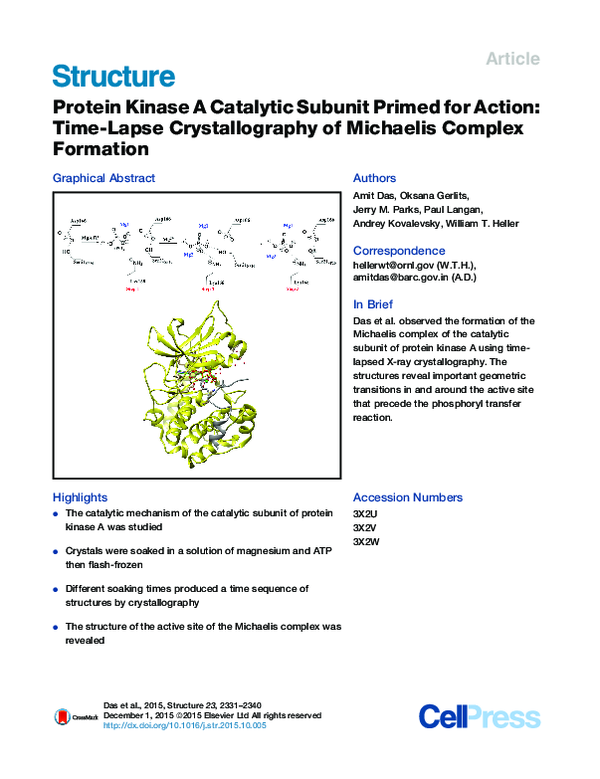 (PDF) Protein Kinase A Catalytic Subunit Primed for Action: Time-Lapse ...