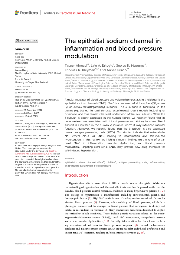 (PDF) The epithelial sodium channel in inflammation and blood pressure ...
