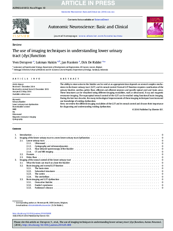 (PDF) The use of imaging techniques in understanding lower urinary ...