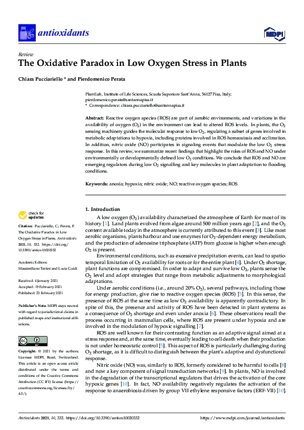 (PDF) The Oxidative Paradox in Low Oxygen Stress in Plants