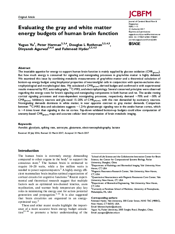 (PDF) Evaluating the gray and white matter energy budgets of human ...