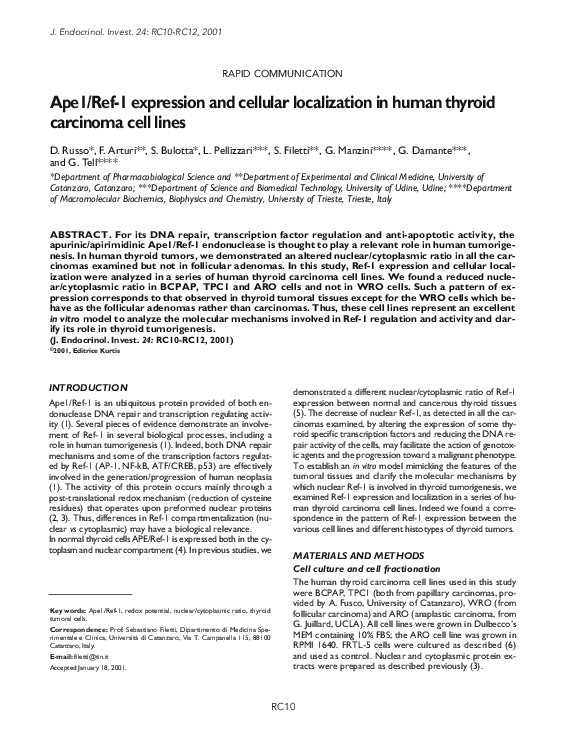 (PDF) Ape1/Ref-1 expression and cellular localization in human thyroid ...
