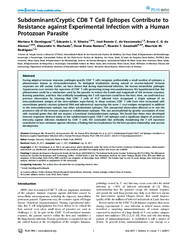 (PDF) Subdominant/Cryptic CD8 T Cell Epitopes Contribute to Resistance ...