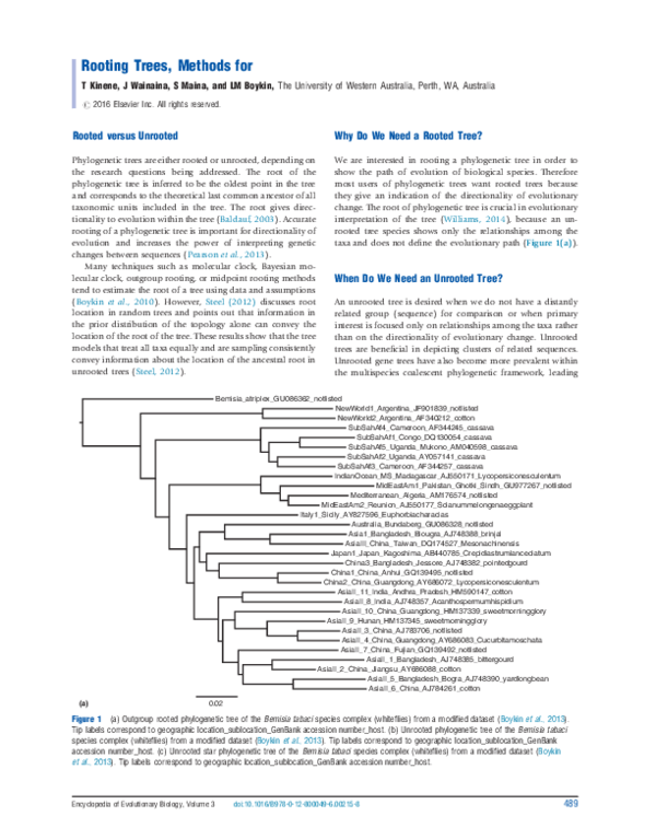 (PDF) Rooting Trees, Methods for