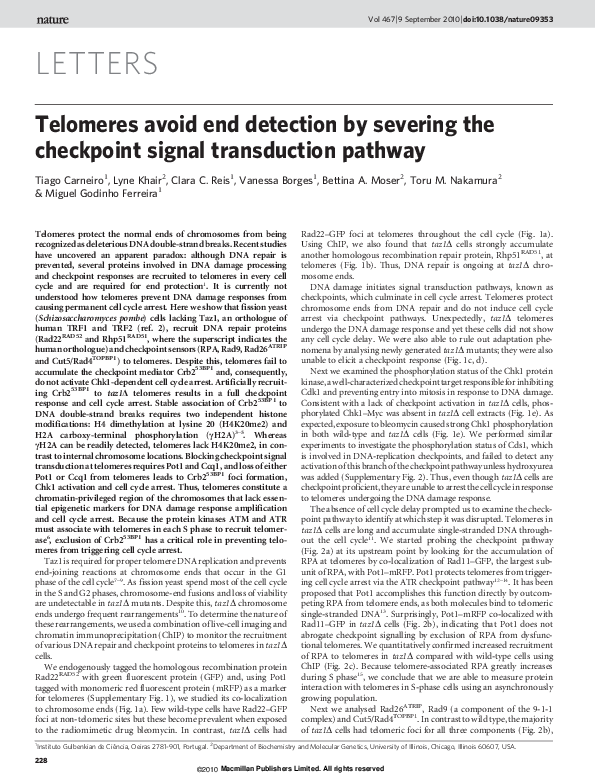 (PDF) Telomeres avoid end detection by severing the checkpoint signal ...
