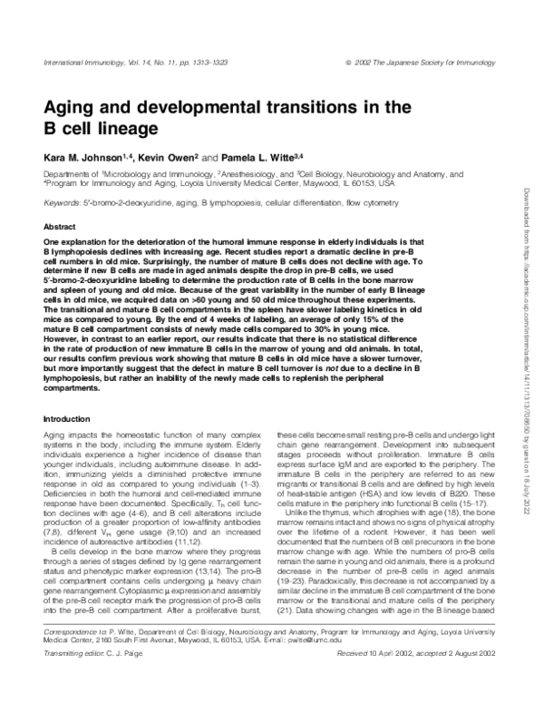 (PDF) Aging and developmental transitions in the B cell lineage