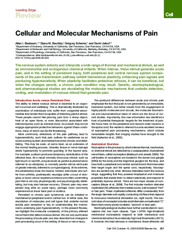 (PDF) Cellular and Molecular Mechanisms of Pain