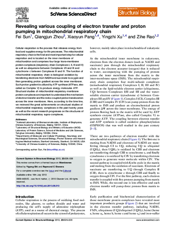 (PDF) Revealing various coupling of electron transfer and proton ...