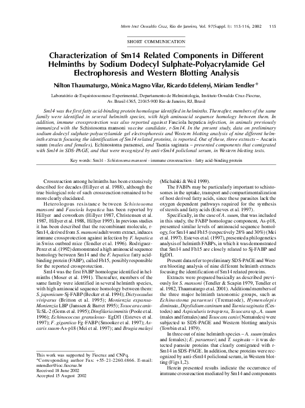 (PDF) Characterization of Sm14 related components in different ...