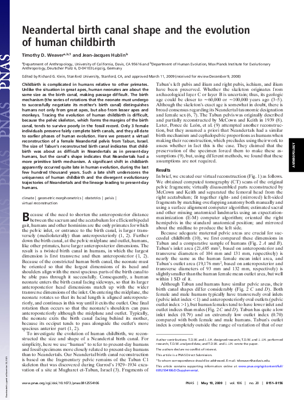 (PDF) Neandertal birth canal shape and the evolution of human childbirth