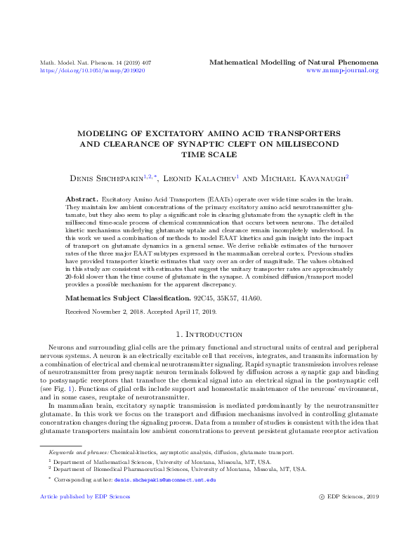 (PDF) Modeling of excitatory amino acid transporters and clearance of ...
