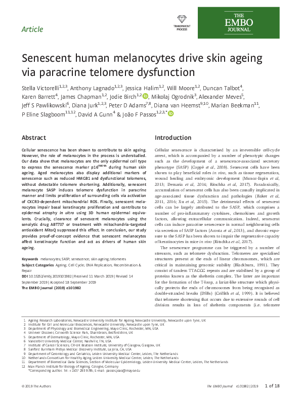 (PDF) Senescent human melanocytes drive skin ageing via paracrine ...