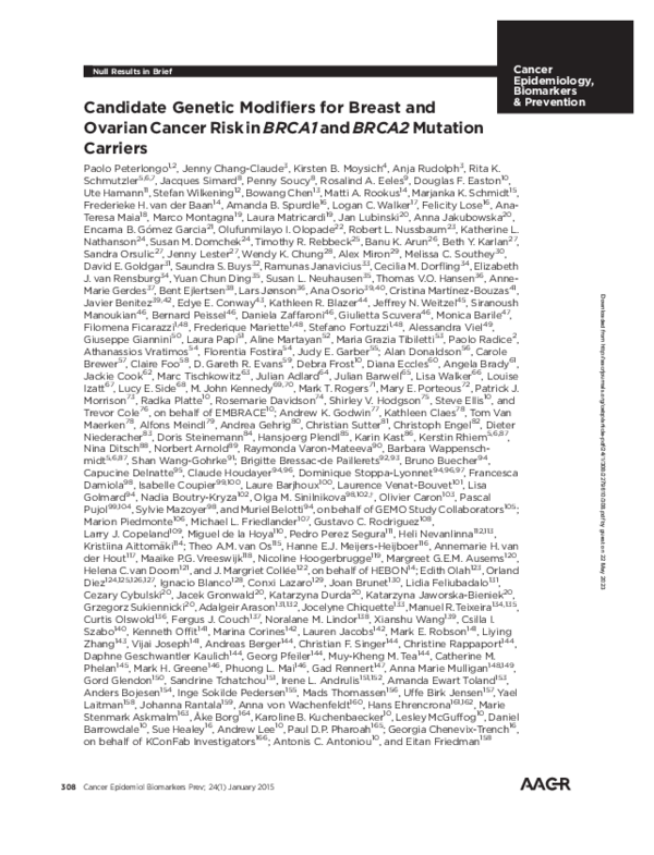 (PDF) Candidate genetic modifiers for breast and ovarian cancer risk in ...