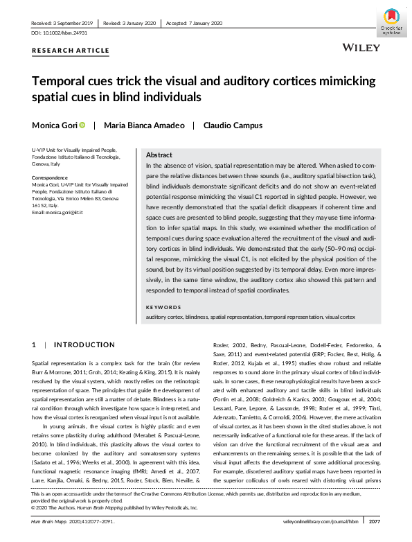 (PDF) Temporal cues trick the visual and auditory cortices mimicking ...