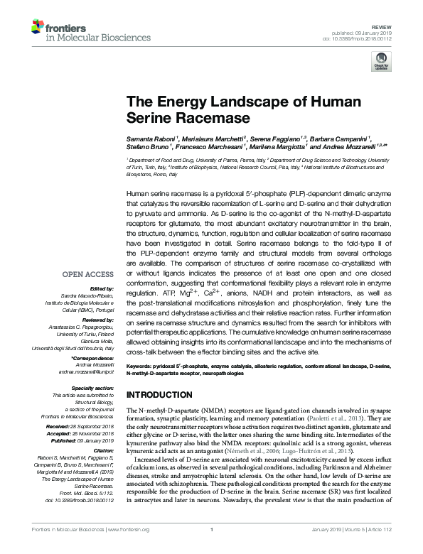 (PDF) The Energy Landscape of Human Serine Racemase
