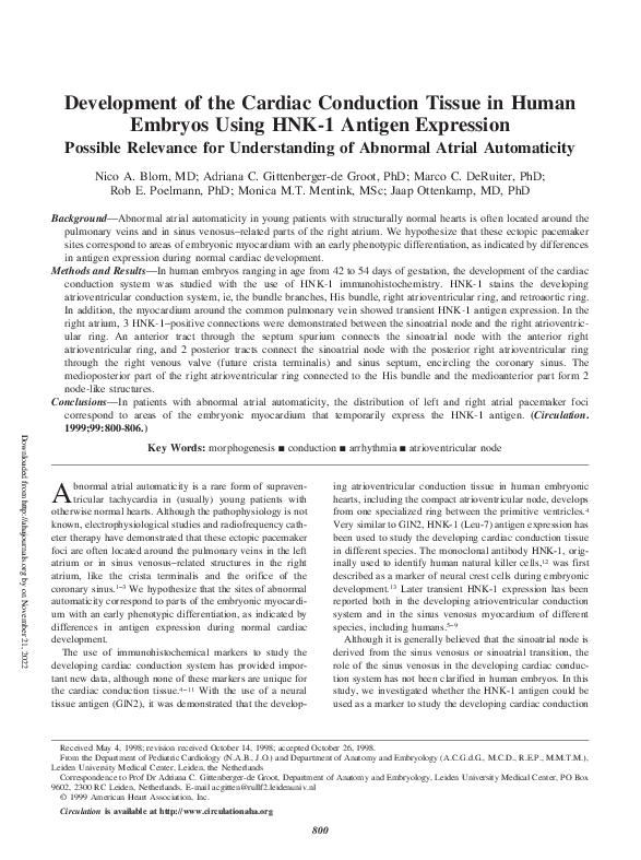(PDF) Development of the Cardiac Conduction Tissue in Human Embryos ...