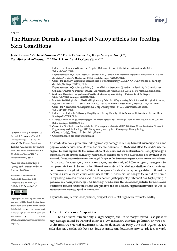 (PDF) The Human Dermis as a Target of Nanoparticles for Treating Skin ...