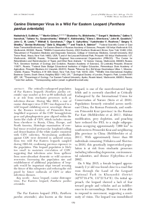 (PDF) Canine Distemper Virus in a Wild Far Eastern Leopard Panthera ...