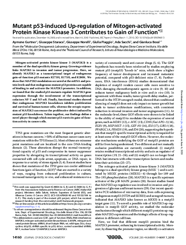 (PDF) Mutant p53-induced Up-regulation of Mitogen-activated Protein ...
